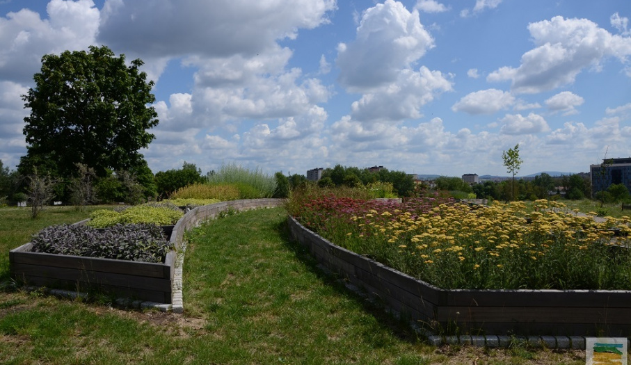 Ogród Botaniczny w Kielcach zaprasza do zwiedzania!
