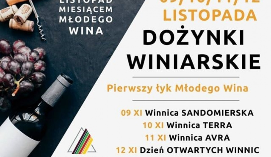Listopad miesiącem młodego wina - Dożynki Winiarskie