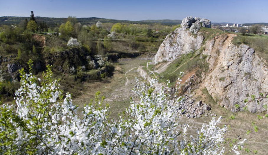 Kadzielnia